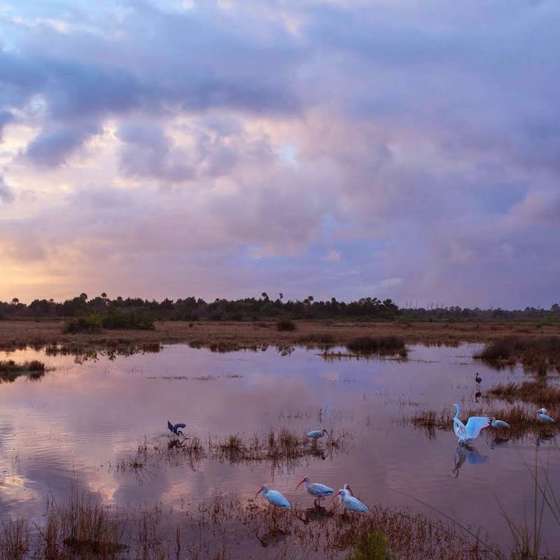Merrit Island National Wildlife Refuge at sunset