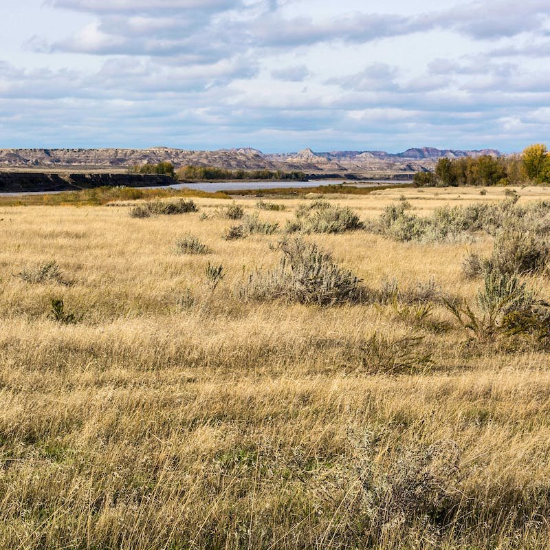 Landscape with Yellowstone River in Distance